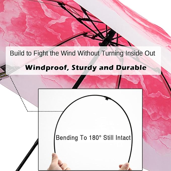 LANBRELLA Compact Reverse Folding Umbrella Auto Windproof Travel Umbrella