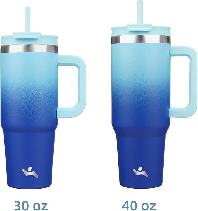 40 oz Tumbler with Handle and 2 Straws,2 in 1 Lid Insulated Water Bottle Stainless Steel Travel Coffee Mug,Sky