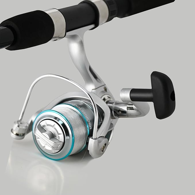 2PACK Fishing Pole Combo,Fishing Rod Combos with Telescopic Fishing Pole Spinning Reels Fishing Carrier Bag for Travel Saltwater Freshwater