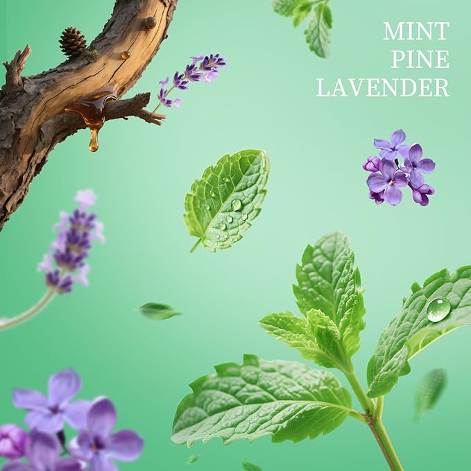Power Mist Hand Sanitizer Spray, Scented Hydrating Hand Sanitizers Travel Size Refillable, Pocket Portable 3-Pack (Mint Reverie) 0.93Fl Oz 460-Sprays Each