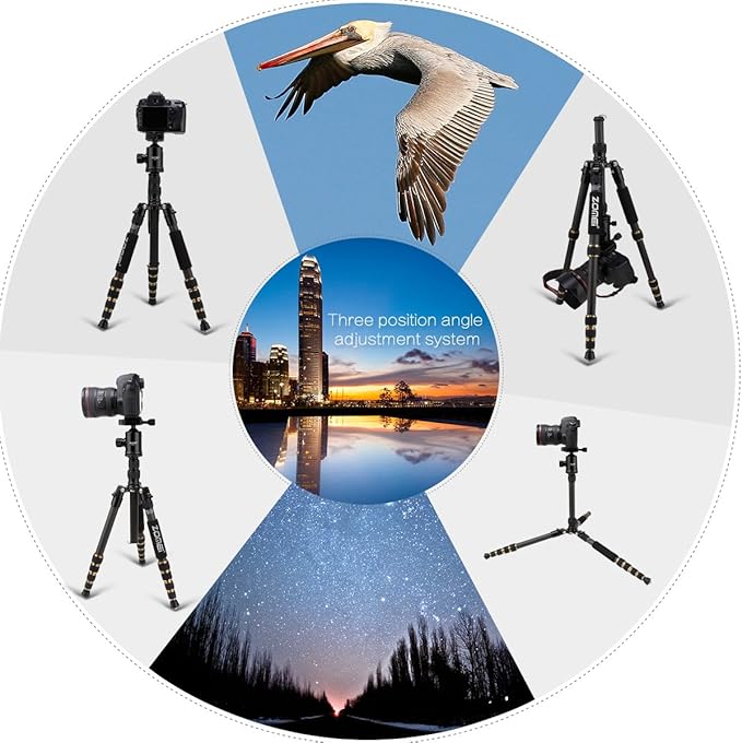 ZOMEI Z669C Carbon Fiber Portable Tripod with Ball Head Compact Travel for Canon,Sony, Nikon, Samsung, Panasonic, Olympus, Kodak, Fuji, Cameras and Video Camera