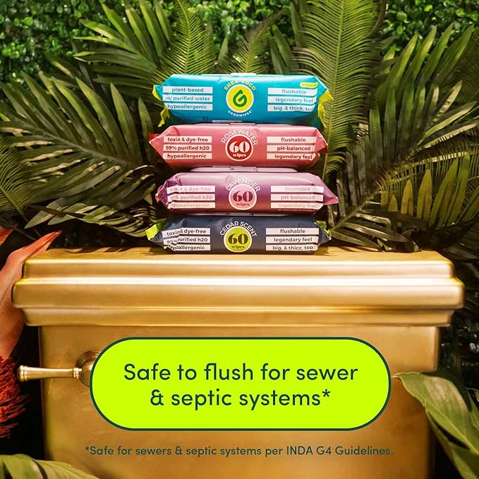 Goodwipes Flushable Butt Wipes - Vitamin E & Aloe - Soft & Gentle Wet Wipe Dispenser, Septic & Sewer Safe - Largest Adult Toilet Towelettes - Shea-Coco, 180 Count (3 Packs) + 3 Individually Wrapped