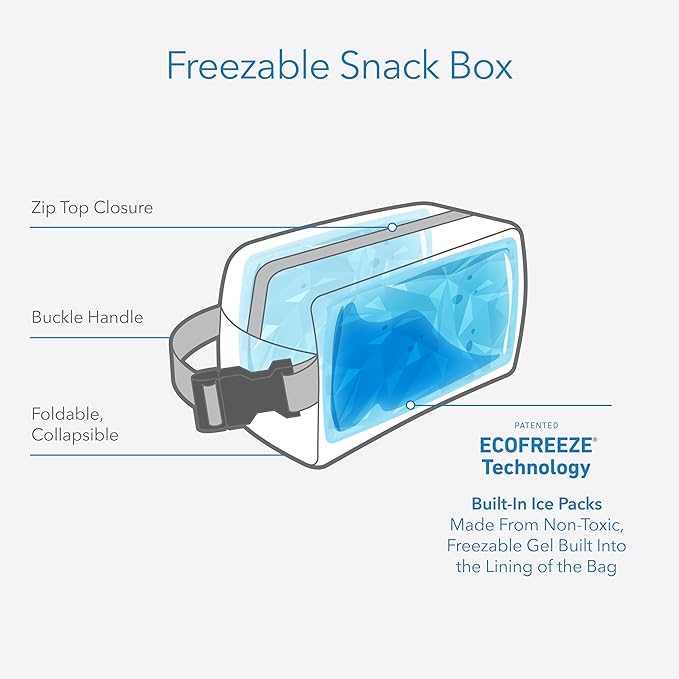 PackIt Freezable Snack Box, Diamond Chevron, Built with ECOFREEZE Technology, Collapsible, Zip Closure with Buckle Handle, Designed For Work Snacks, Fresh Snacks On the Go, Adults, and All Ages