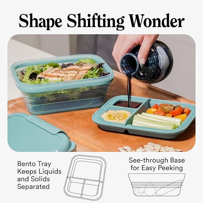 STOJO Collapsible Bento Box, Reusable, Leak-Proof, Microwave & Dishwasher Safe, Premium Lunch Container with Divider – Space-Saving, Transparent Design (Eucalyptus, 2.75-Cup/650mL)