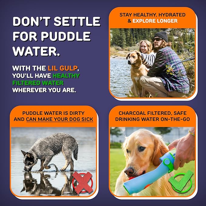 Lil Gulp Dog Water Bottle | Advanced Carbon Filtration for Safe Filtered Water on The Go | BPA-Free Leak-Proof Portable Dog Travel Water Bottle with Retractable Water Spout, 15 Fl oz - Power Punch