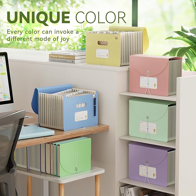 Accordion File Organizer, 12 Pockets Wheat Straw Expanding File Folder, Portable Monthly Paper Bill Tax Receipt Organizer, Letter A4 Size Document Holder，Green Office with Colorful Tab，Mint Green