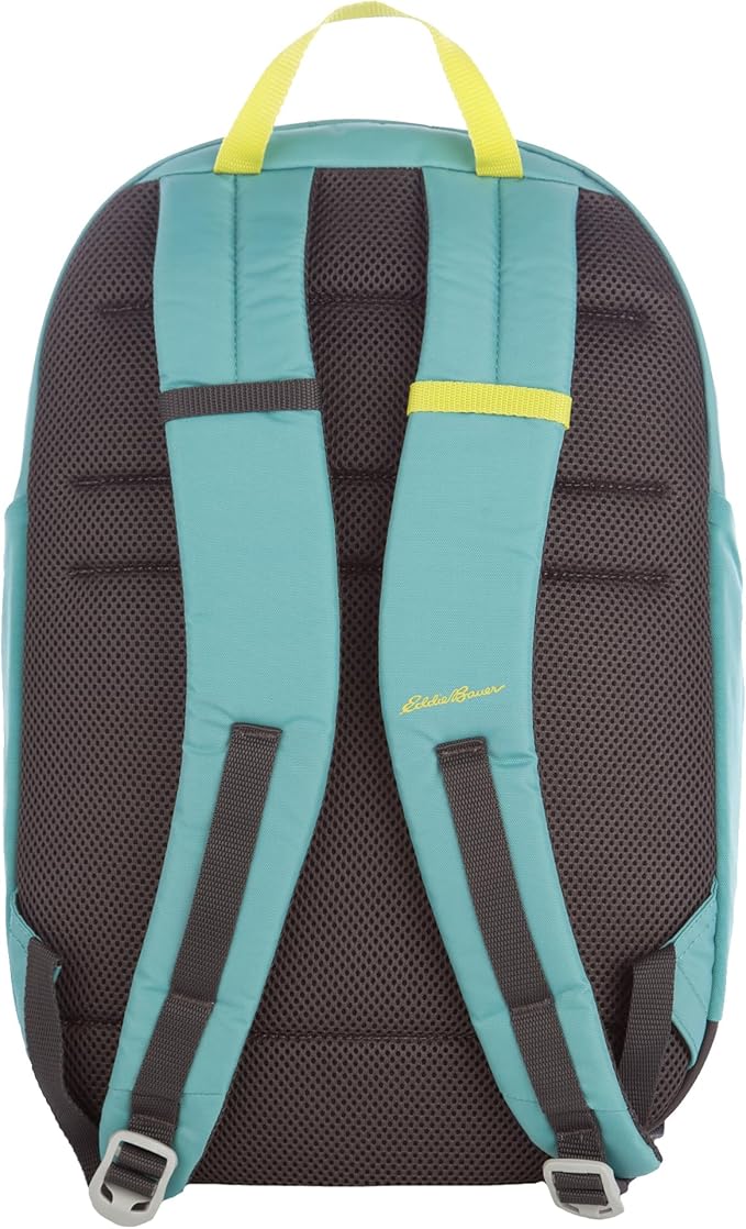 Eddie Bauer 20L Venture Backpack, Hydration and Laptop Compatible Daypack, Dusty Jade