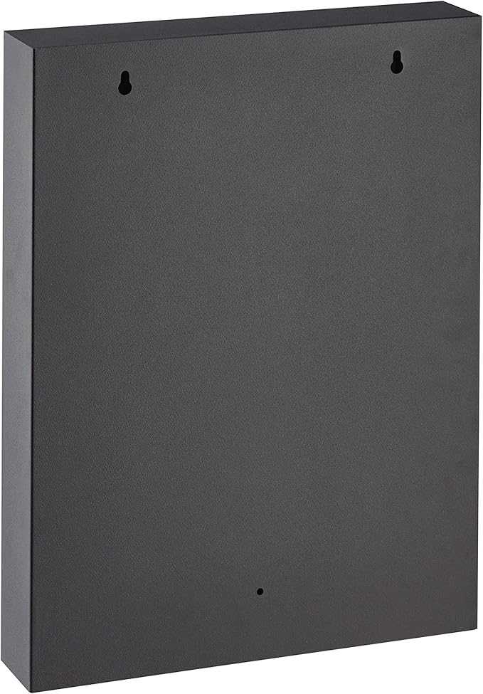 Adiroffice Key Holder Wall Mount - 60 Keys Lock Box with Code, Key Cabinet Wall Mount, Valet Parking Key Box, Car Dealer Key Cabinet - Space Saving Locking Key Box Wall Mount with Digital Lock