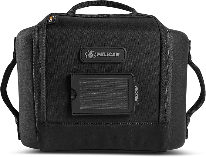 Pelican ModPak AV Pouch - Camera Bag and Lens Case - Double (Black)