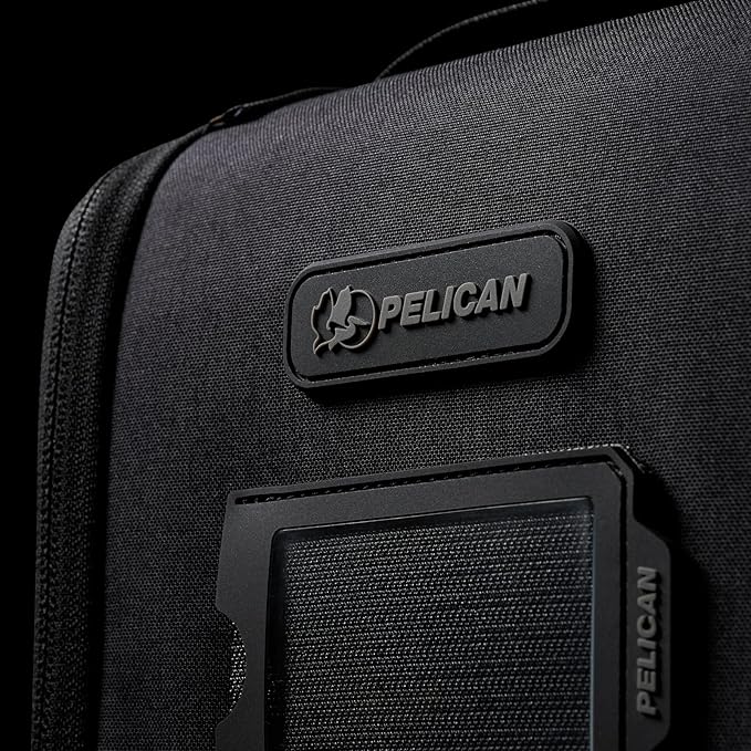 Pelican ModPak AV Pouch - Camera Bag and Lens Case - Double (Black)